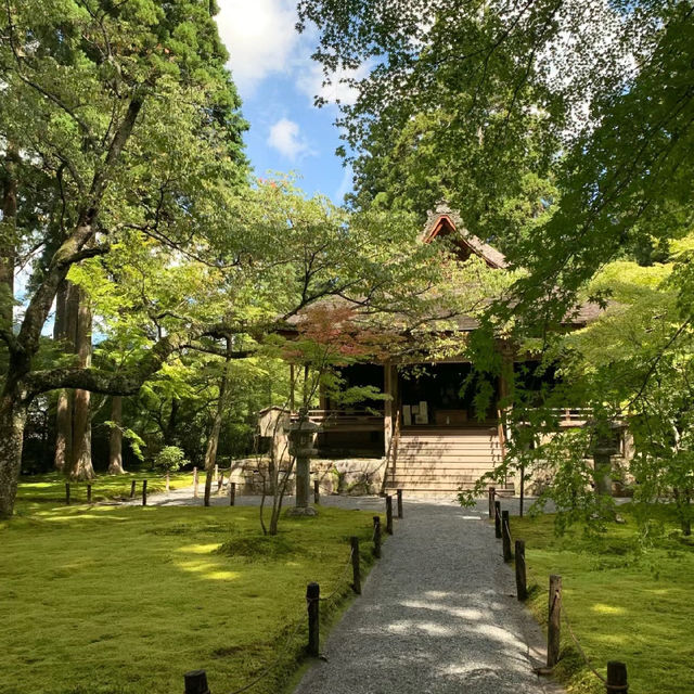 「大阪五風莊庭園：傳統日式庭園，感受日本韻味」