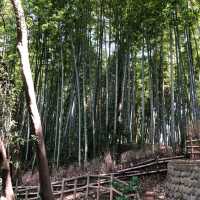 The Takenoko Park