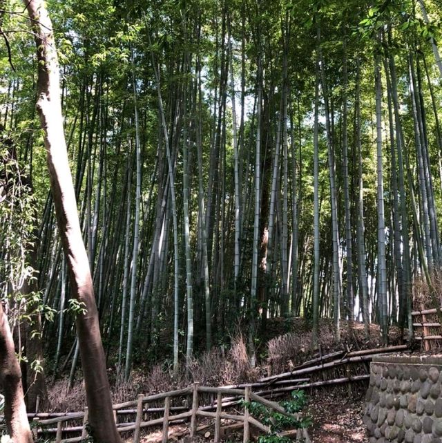The Takenoko Park