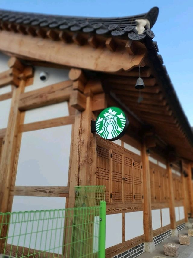 Starbucks Daegu Jongro Goteak