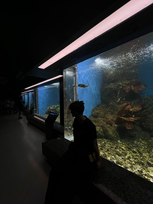 ย้อนเวลาไปเที่ยวบางแสน🐬🐟🐠