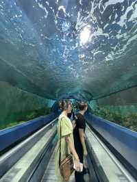 ย้อนเวลาไปเที่ยวบางแสน🐬🐟🐠