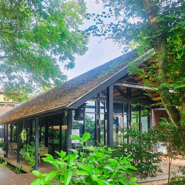 Somdul Agroforestry Home 