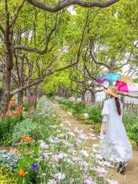 『浜名湖花博2024』 開催中‼︎浜名湖ガーデンパーク🌷