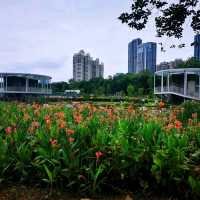 洪湖公園