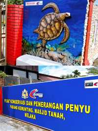 Turtle Conservation Alor Gajah 