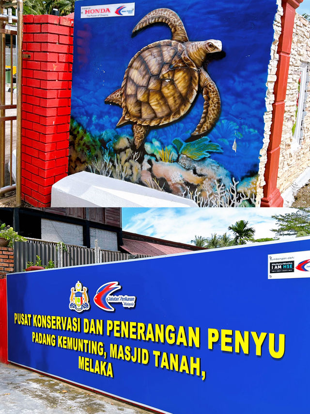 Turtle Conservation Alor Gajah 