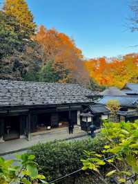 Japan Open-Air Folk House Museum
