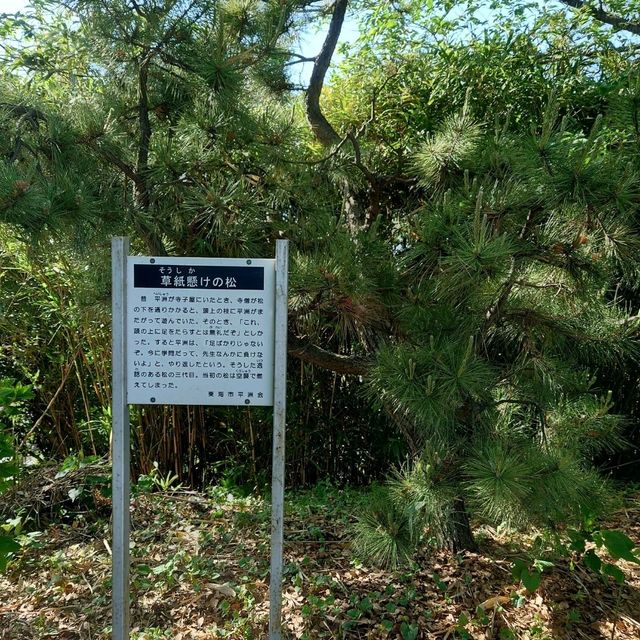 知多新四国八十八箇所霊場の86番「観音寺」
