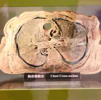 Hong Kong Museum of Medical Sciences