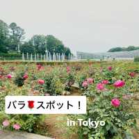 【Tokyo🇯🇵】神代植物公園🌹🌹