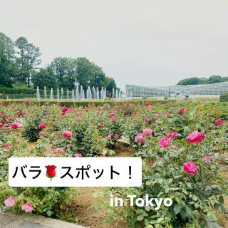 【東京】神代植物公園