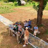 Wood House Cafe คาเฟ่ธรรมชาติ วิวเขาฉกรรจ์