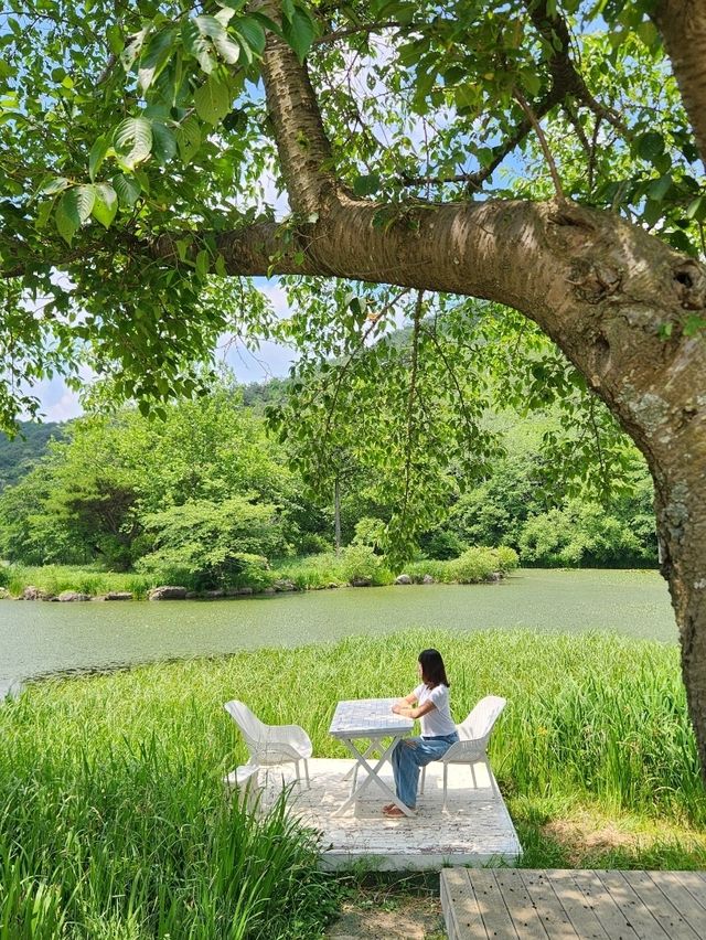 🤍데이트하며 사진 한가득 남기기 좋은 "경주 화랑의언덕"🤍