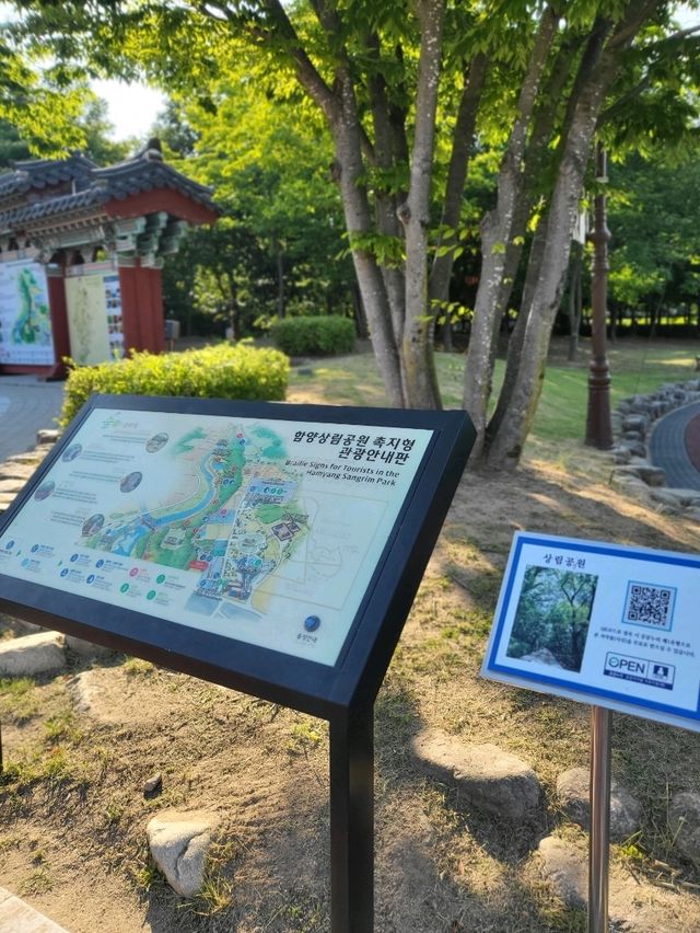 눈호강하는 코스모스와 금계국이 가득한곳