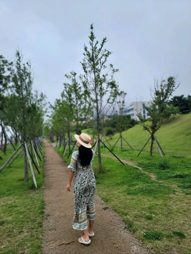 수국꽃길 만발한 힐링 휴식공간 아미르공원💜