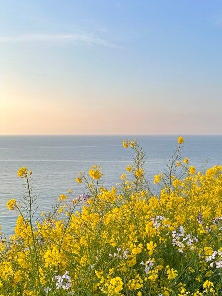 🌊제주 함덕서우봉해변, 서우봉둘레길 일몰