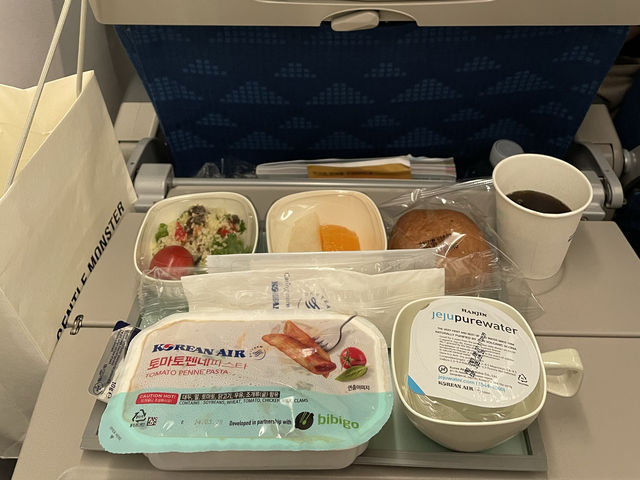 인천 -> 런던(KE907) 후기🛫☁️