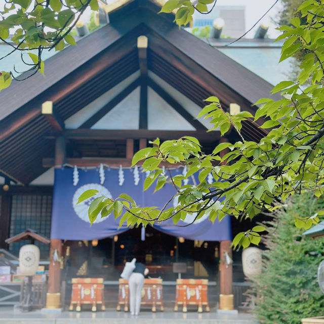 【神楽坂⛩️】シェアサイクル「LUUP」で神社巡りプラン🎋