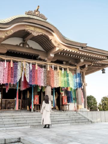 [Префектура Фукуи] Примерно в 7 минутах ходьбы от станции Фукуи! Разноцветные бумажные журавлики приветствуют вас в святилище Сакаэнося.