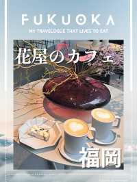 【福岡カフェ】