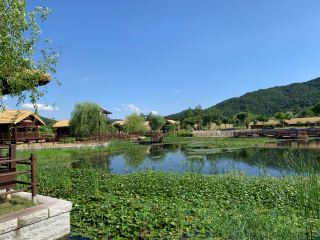 A Journey Through Time in Goryeong Village: A Place Where the History and Culture of Daegaya Come Alive