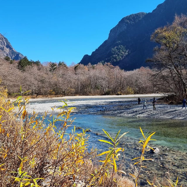 Autumn in Kamikochi's Enchanted Valley