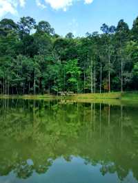 Hutan Lipur Ulu Bendul, a nature hidden gem in Kuala Pilah 🍃