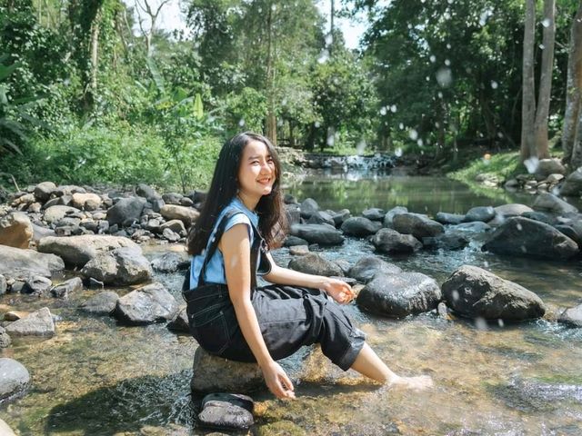 Butterfly Camping