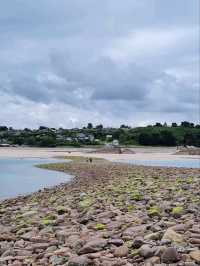 Pebbles and Low tide
