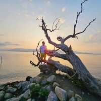 Dali: A Perfect Blend of History and Nature!