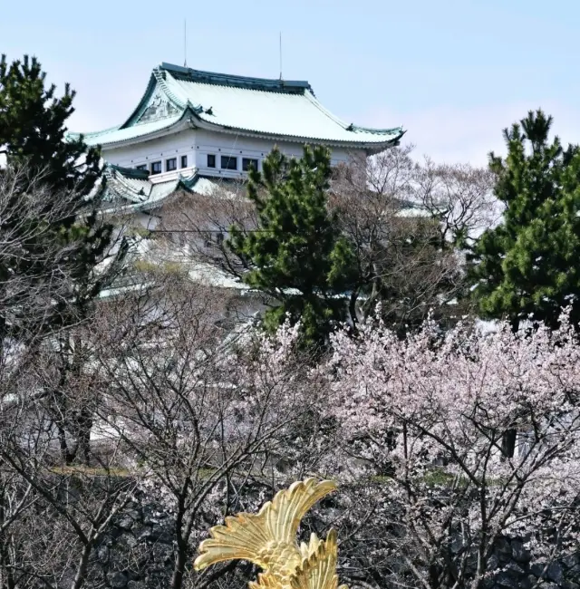 一顆被低估的寶石