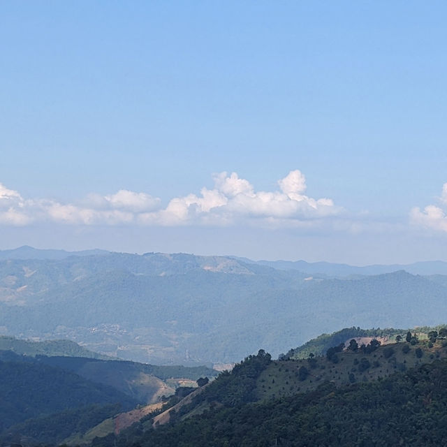 YAYO FARM Doichang เชียงราย