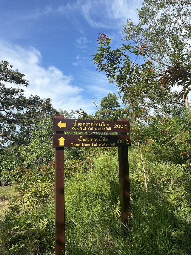 พิกัดเดินป่า ทางเข้าไปชมน้ำตก อุทยานภูผายล สกลนคร