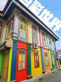 【 新加坡旅遊 】小印度進入印度色彩的世界