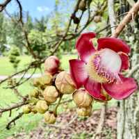 Serene Splendor at Penang Gardens