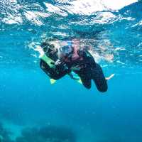 Scuba Diving in the Great Barrier Reef, Australia
