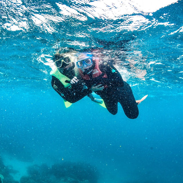 Scuba Diving in the Great Barrier Reef, Australia