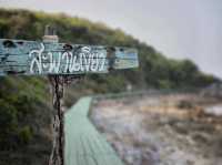หาดแสม สะพานเขียว เกาะล้าน