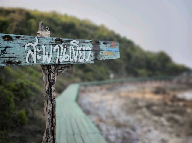 หาดแสม สะพานเขียว เกาะล้าน