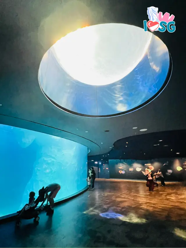 🇸🇬 Underwater Forest Penguin Cove