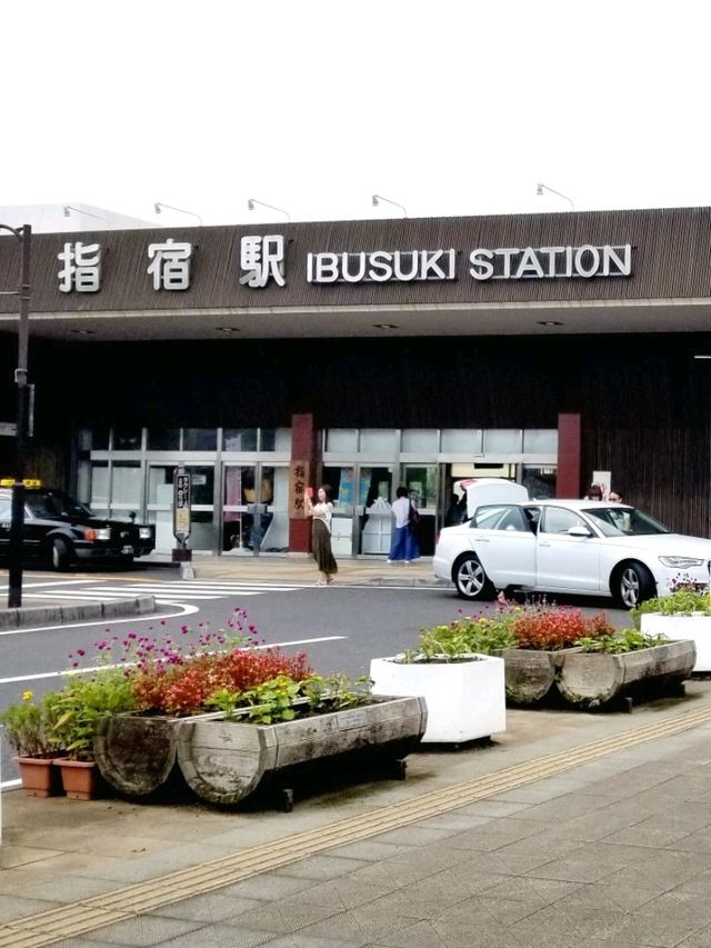 鹿兒島🚃指宿玉手箱號🚃觀光列車 IBUTAMA ⚪️⚫️