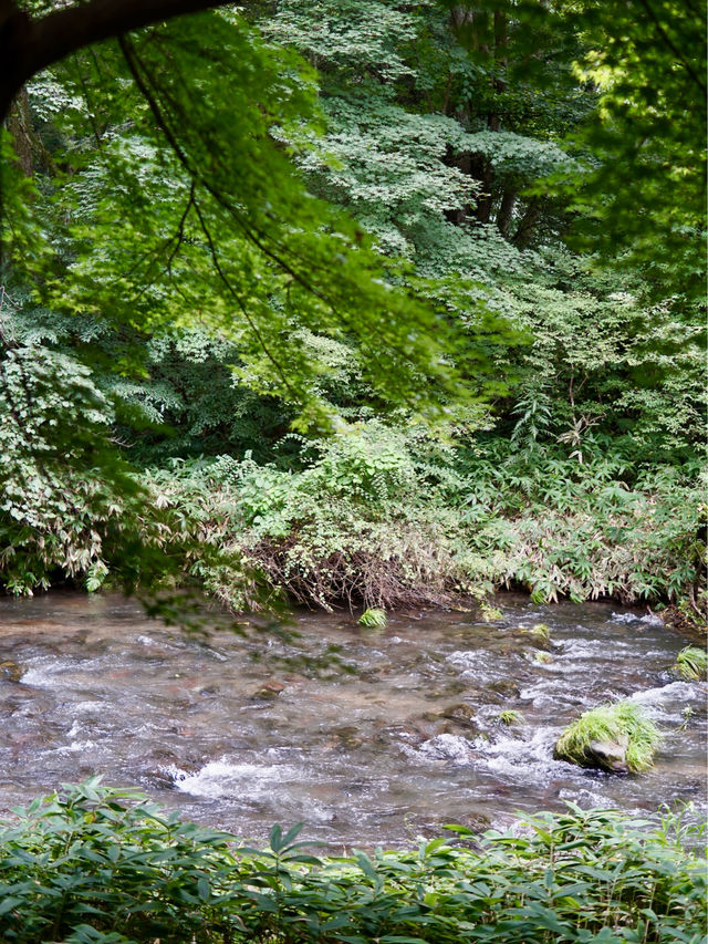輕井澤 | 感受輕井澤的日常 - 榆樹街小鎮🌿
