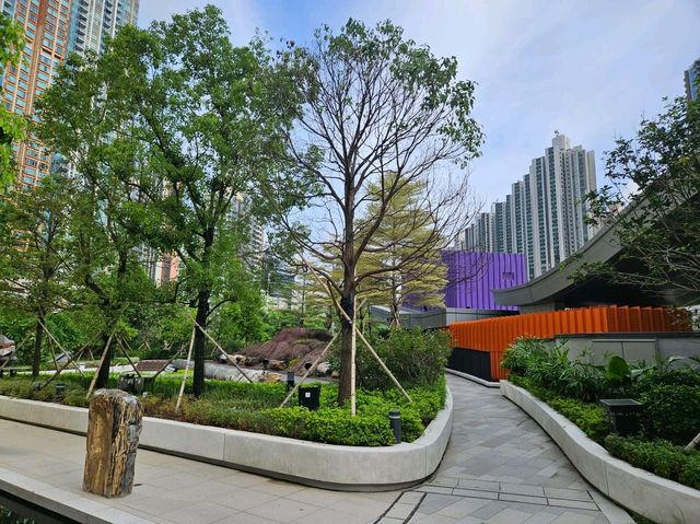 全港獨一無二的木化石公園