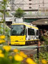 ［東京散策] 東京碩果僅存的路面電車