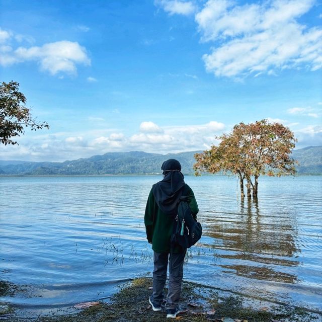 🇲🇾 Framing Beauty: Timah Tasoh Lake