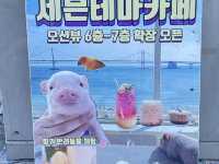 韓國釜山 松島灣纜車站 송도베이스테이션(송도해상케이블카)