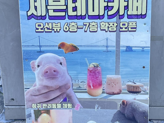 韓國釜山 松島灣纜車站 송도베이스테이션(송도해상케이블카)