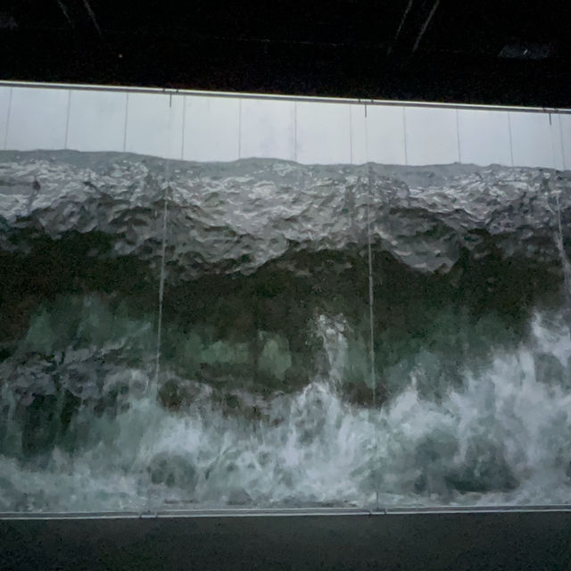 Immersive Delights at Arte M: A Serene Exploration