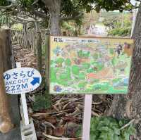 【沖縄/宮古島】エメラルドグリーンの海がみえる公園🩵💚